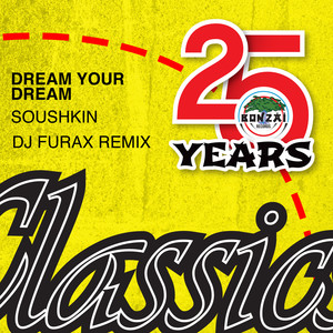 Soushkin (DJ Furax Remix)