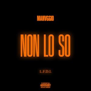 NON LO SO (Explicit)