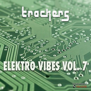 Elektro Vibes, Vol. 7