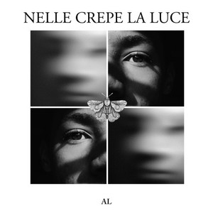 Nelle crepe la luce