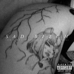 Sad ***** (feat. Púdrete Aragon) (Explicit)