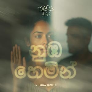 Numba Hemin