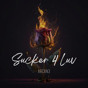 Sucker 4 Luv (feat. YSB Reggie) [Explicit]