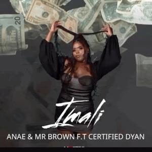 Imali (feat. Mr Brown & Certified Dyans)
