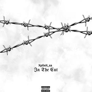 In The Cut (Explicit)