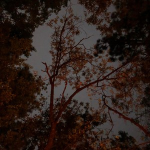 pocket(feat. creepybuggirl)