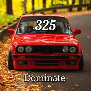 Dominate 325