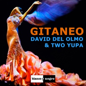 Gitaneo (Radio Edit)