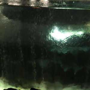 Crab Meat (feat. Aceii) (Explicit)