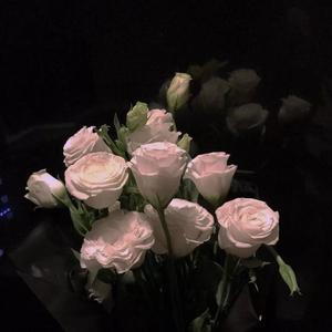 夏天的风 (翻自 温岚|宿舍合唱版)