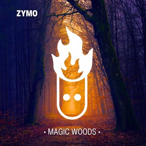 Magic Woods