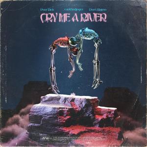 Cry Me a River(feat. cantfindjoyce) (Explicit)