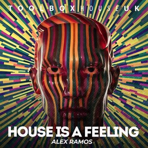 House Is A Feeling (Radio Edit)