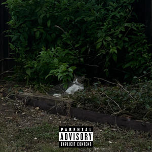 scooby (feat. erikdrop & lo) (Explicit)