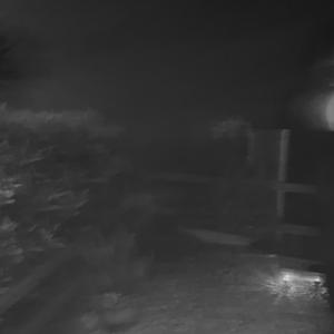 i had to lose myself to find you.(slowed) (Explicit)