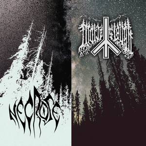 Necrose / Morte Slough