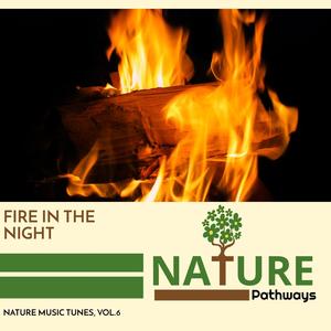 Fire in the Night - Nature Music Tunes, Vol.6