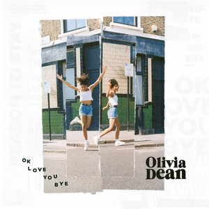 Ok Love You Bye (Explicit)