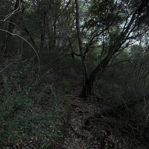 Patience (feat. nomi, BNTLY & KILLHEEN) (Explicit)