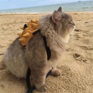 胖猫 - 回到那天相遇 (降速版)