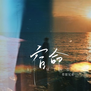 宿命(我还是不能忘记你)