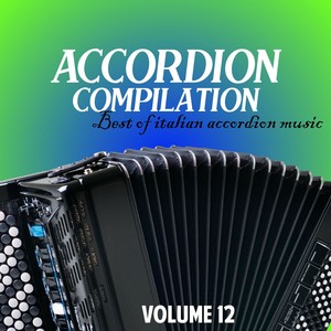 Accordion compilation vol. 12 (Best of italian accordion music) [82 brani fisa]