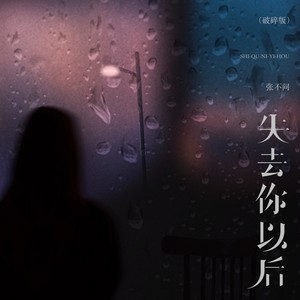 失去你以后 (破碎版)