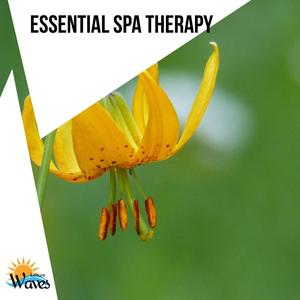 Emotional Turn (Peaceful Minds)