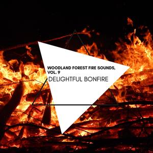 Delightful Bonfire - Woodland Forest Fire Sounds, Vol. 9