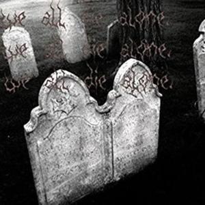 undead #freestyle (feat. zak hilton) (Explicit)