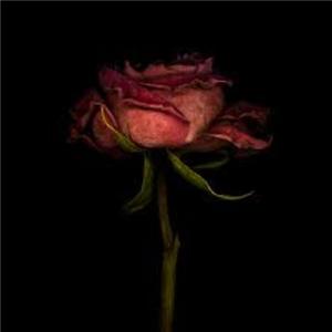 I Dont Like U Anymore (feat. Kīdd Wīll) (Explicit)