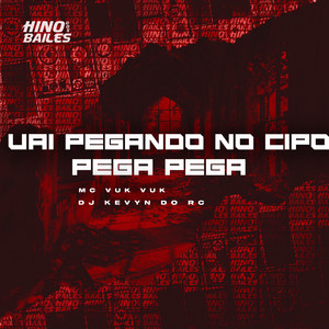 Vai Pegando no Cipó Pega Pega (Explicit)