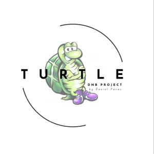 Fire (TURTLE dnb project Remix)