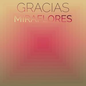 Gracias Miraflores