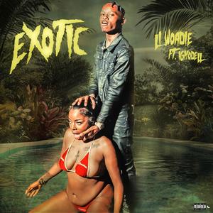 Exotic (feat. Ig modell) (Explicit)