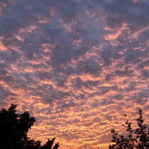 Aos147-坠落 (李嘉笙· remix)