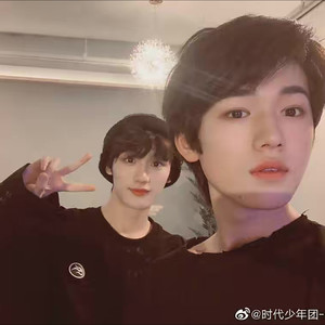 乖猫封面