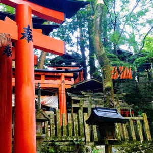 Yokai of Tranquility