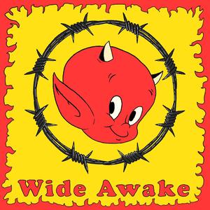 Wide Awake (Explicit)