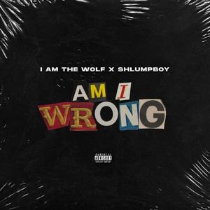 Am I Wrong (Explicit)