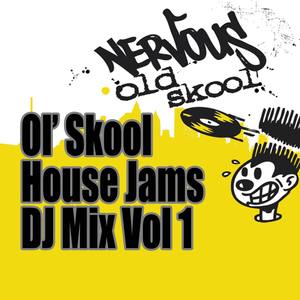 Ol' Skool House Jams DJ Mix - Vol 1