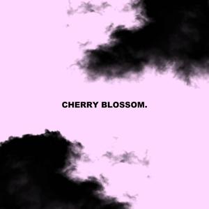 cherry blossom (Explicit)