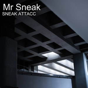 Mr Sneak