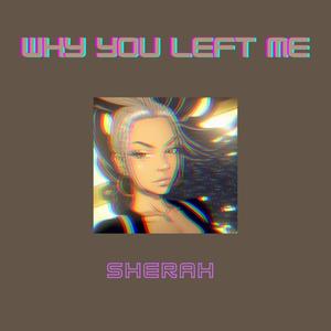 Why You Left Me (Explicit)