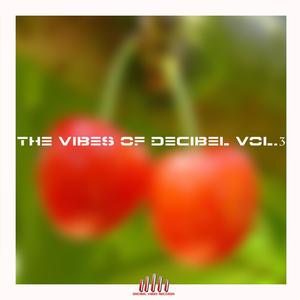 The Vibes of Decibel, Vol. 3