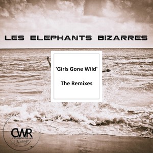 Girls Gone Wild: The Remixes