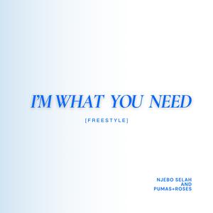I'M WHAT YOU NEED ( FREESTYLE ) (Explicit)