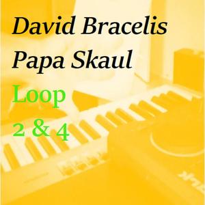 Loop 2 & 4