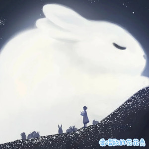 我的纸飞机 (释怀版) - 花花兔封面