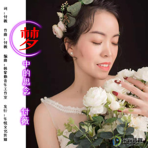 梦中的思念 - 付薇封面